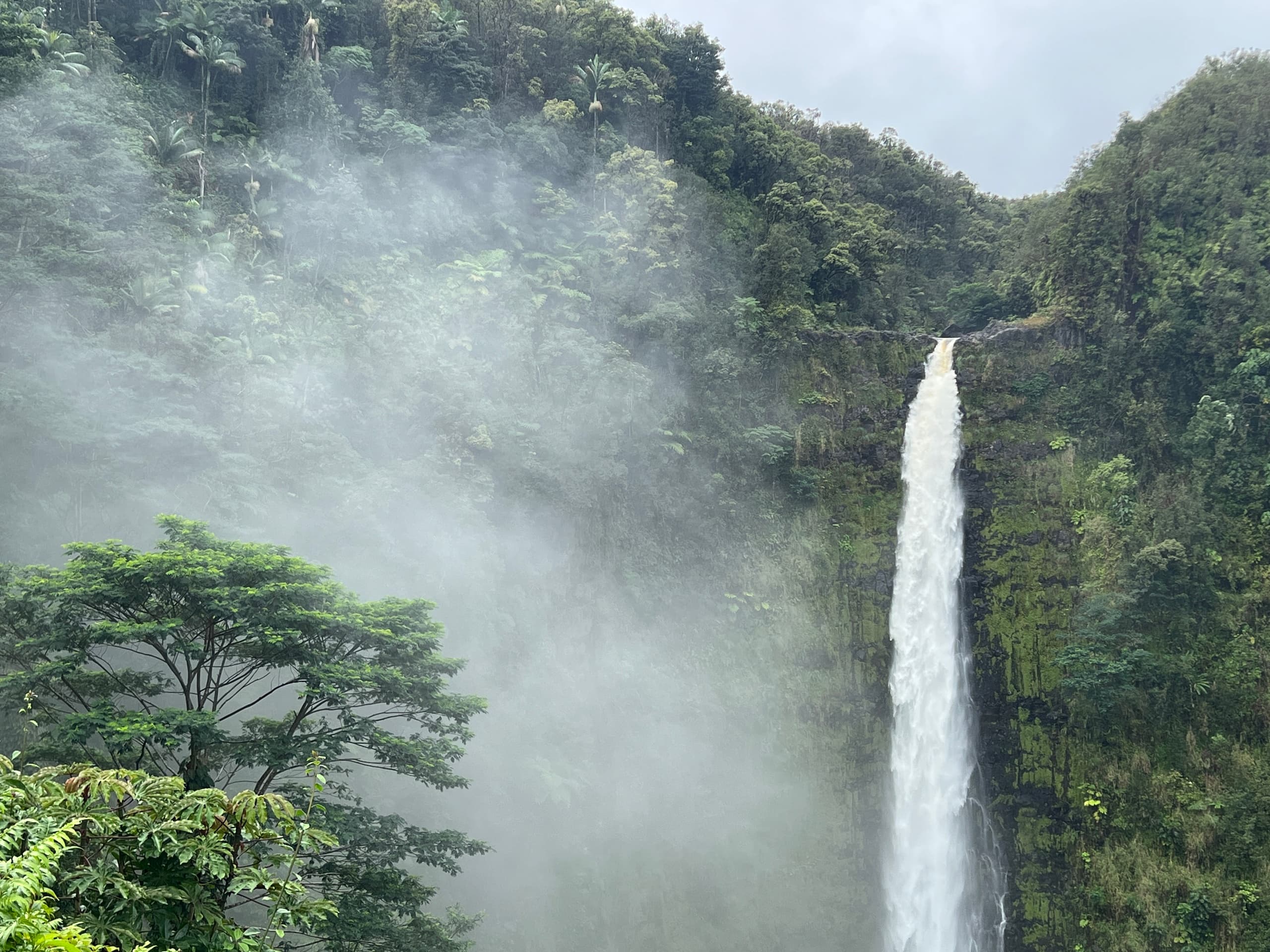PRIVATE Big Island Big Volcano Adventure from Kona