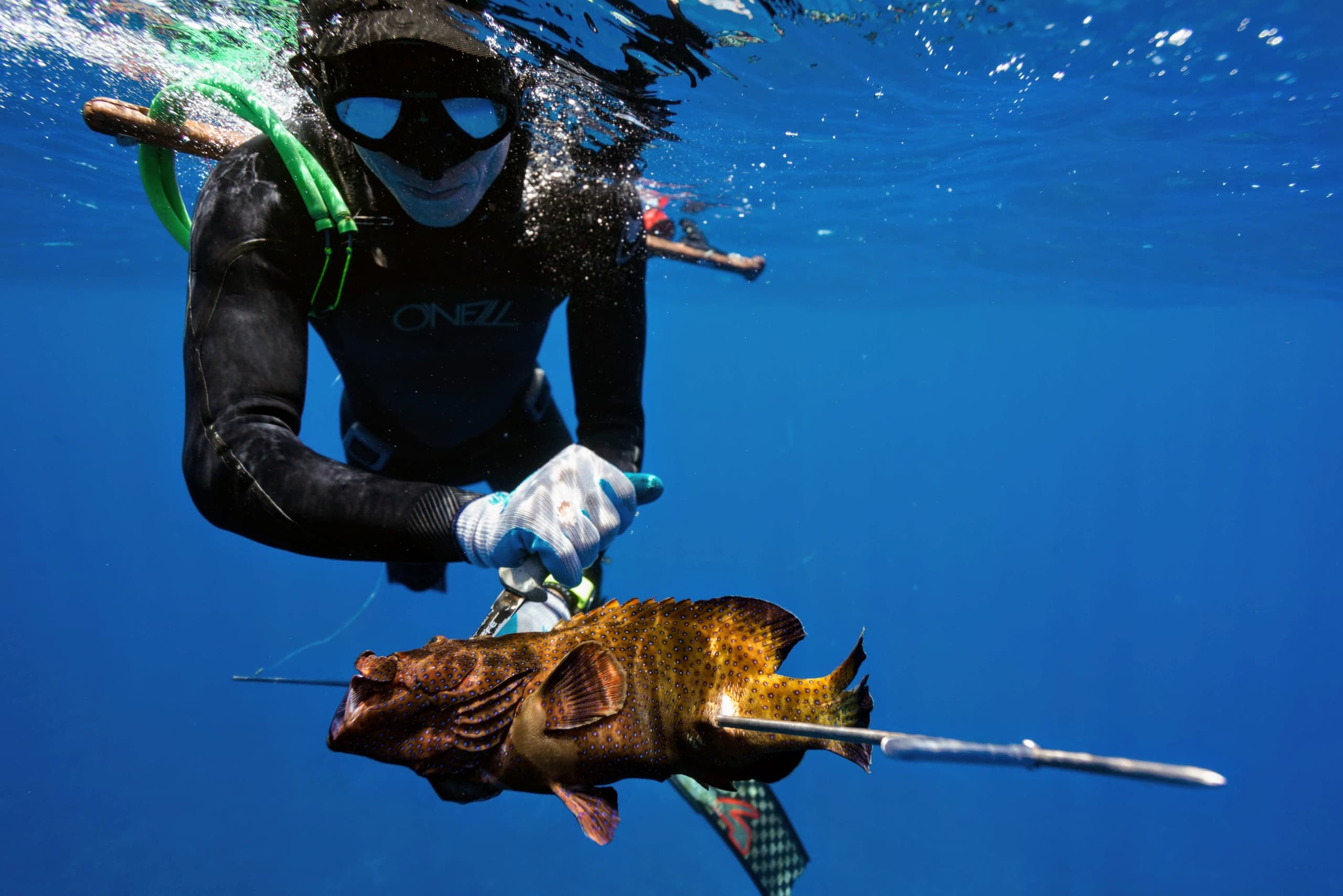 Spearfishing