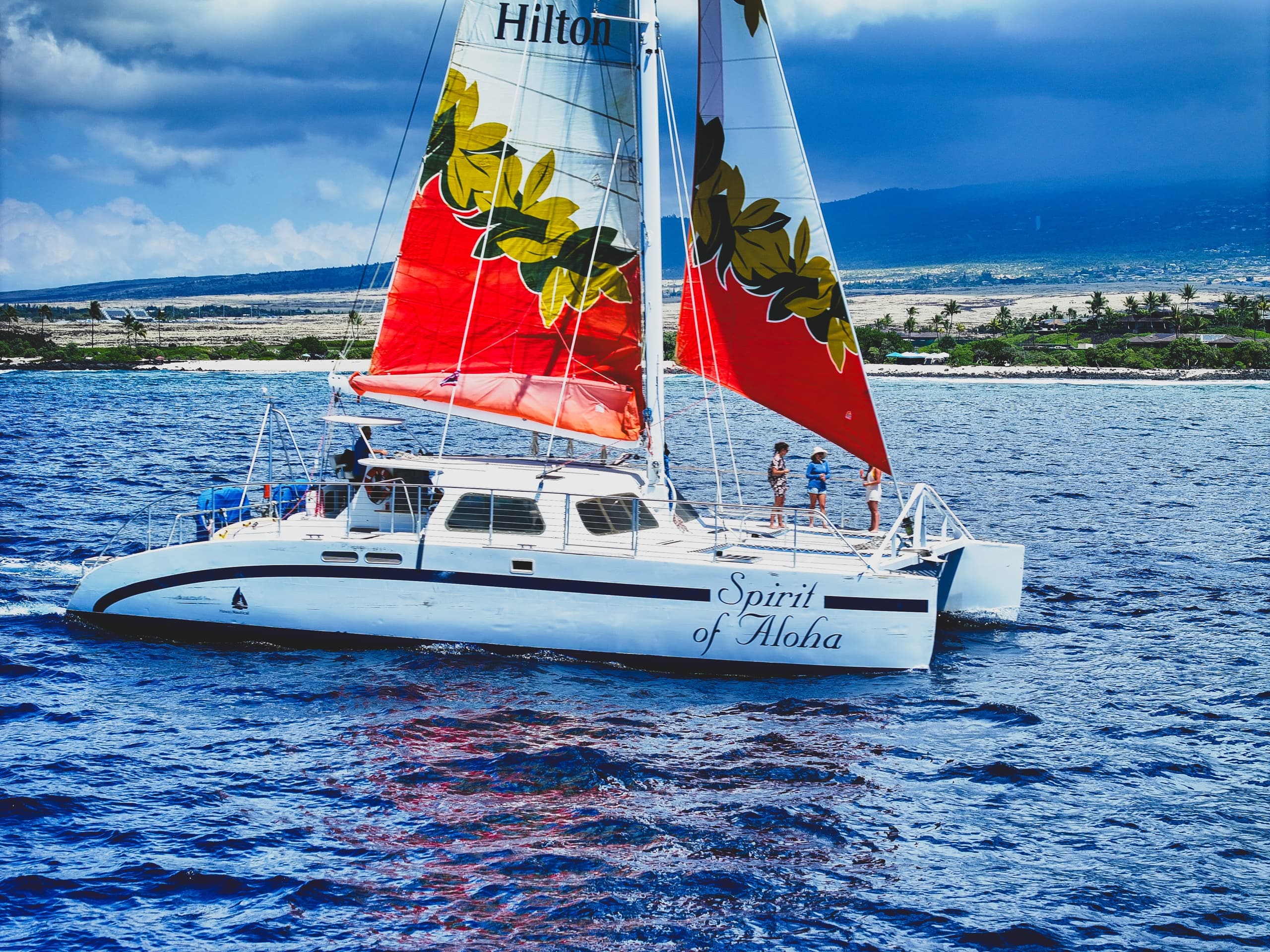 Kona Turtle Snorkel Sail with Lunch