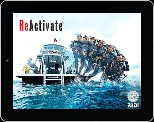Padi Re-Activate Course
