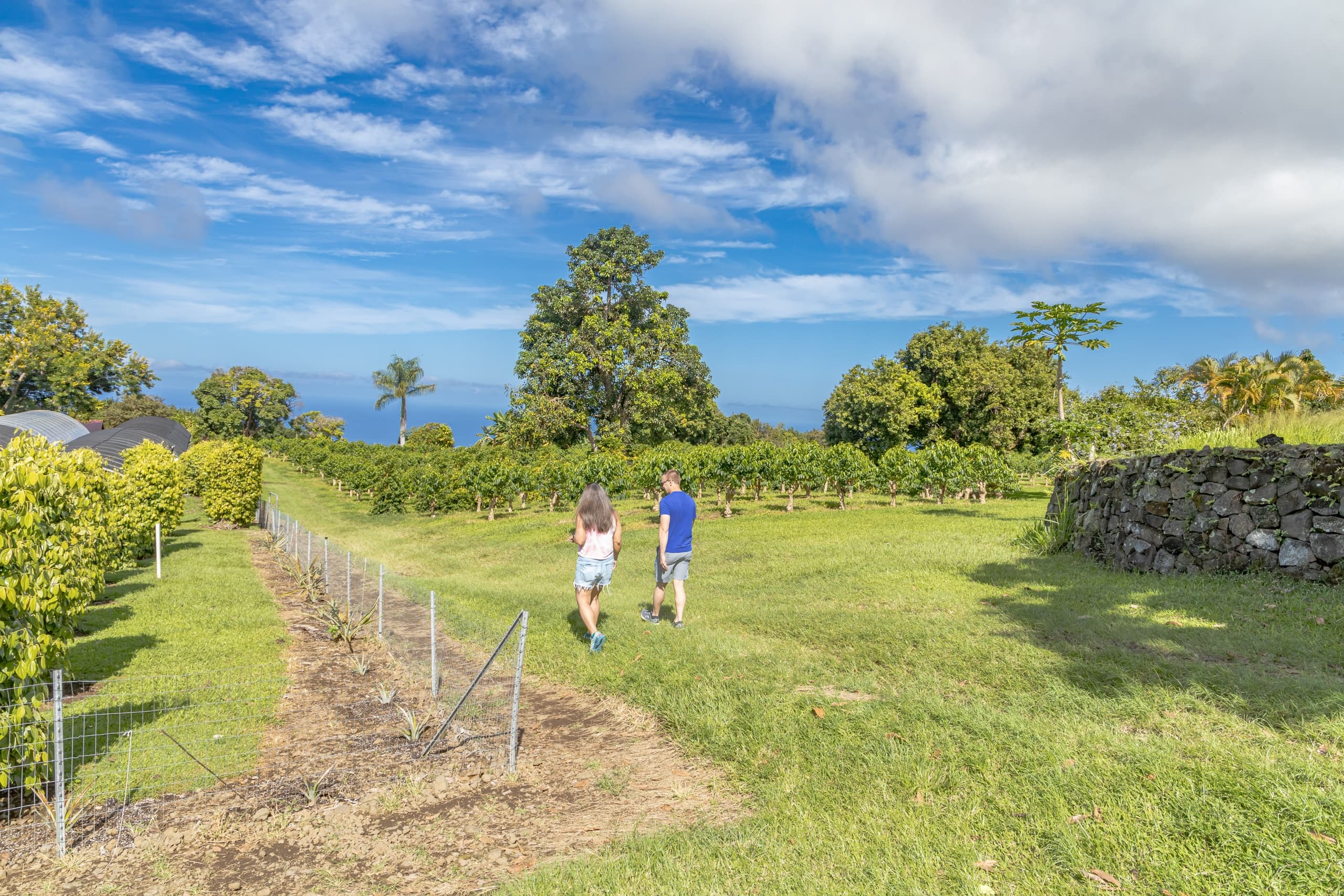 Kona Cruise Ship Guest Special - Kona Historical Tour