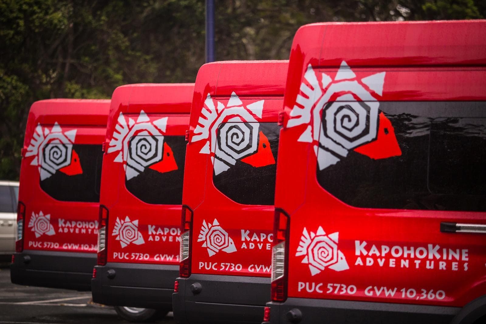 Private CUSTOM VAN Tour from Kona