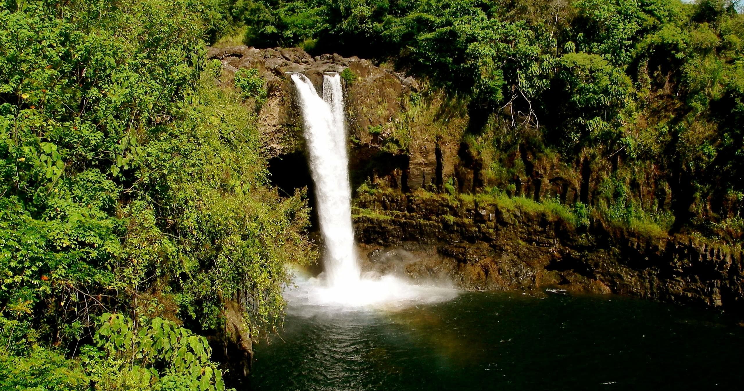 Secrets Of Hamakua HILO (SHIP)