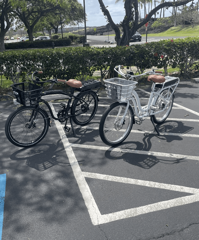 EBC E-Bikes