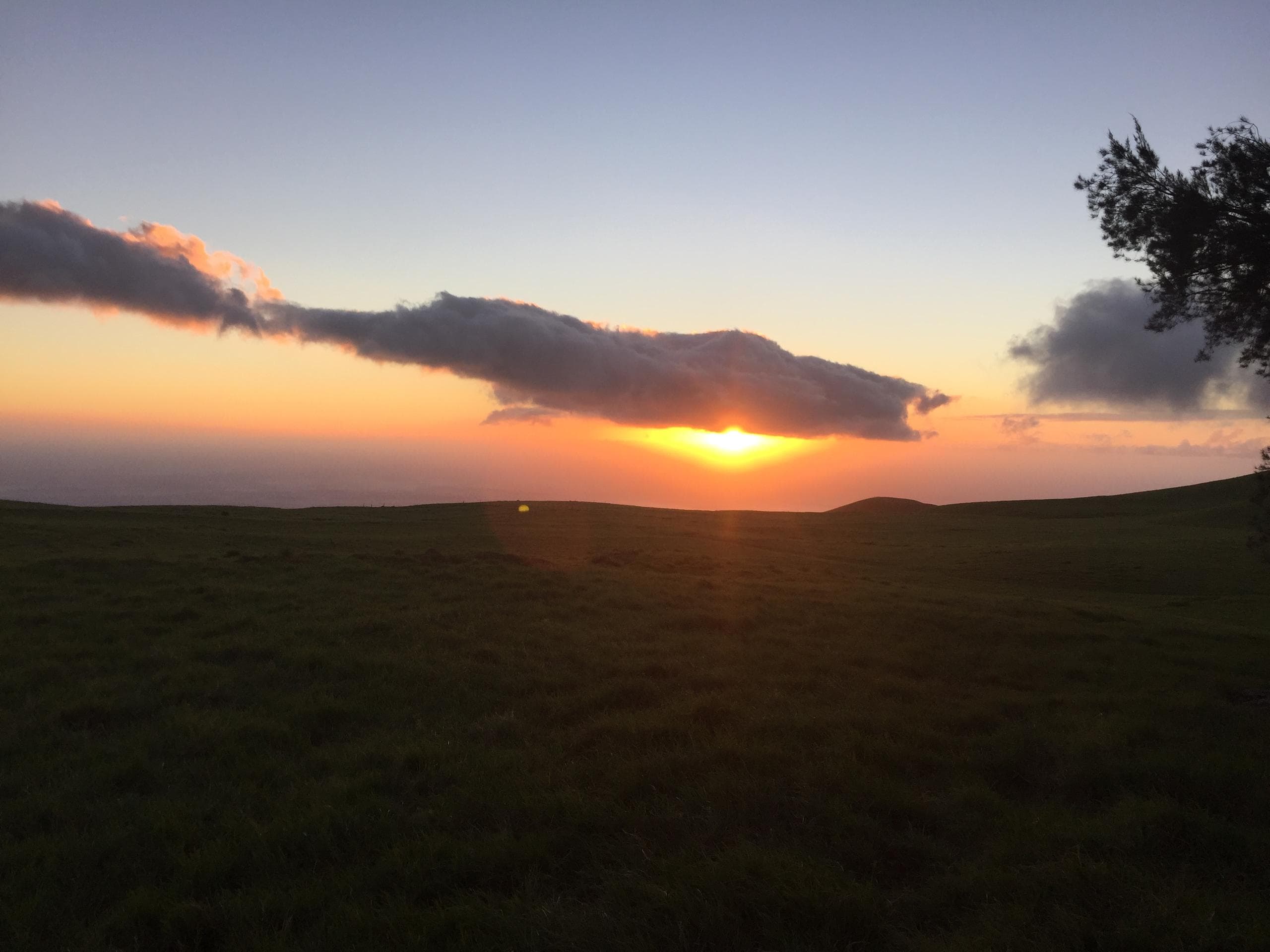 Sunset Ride