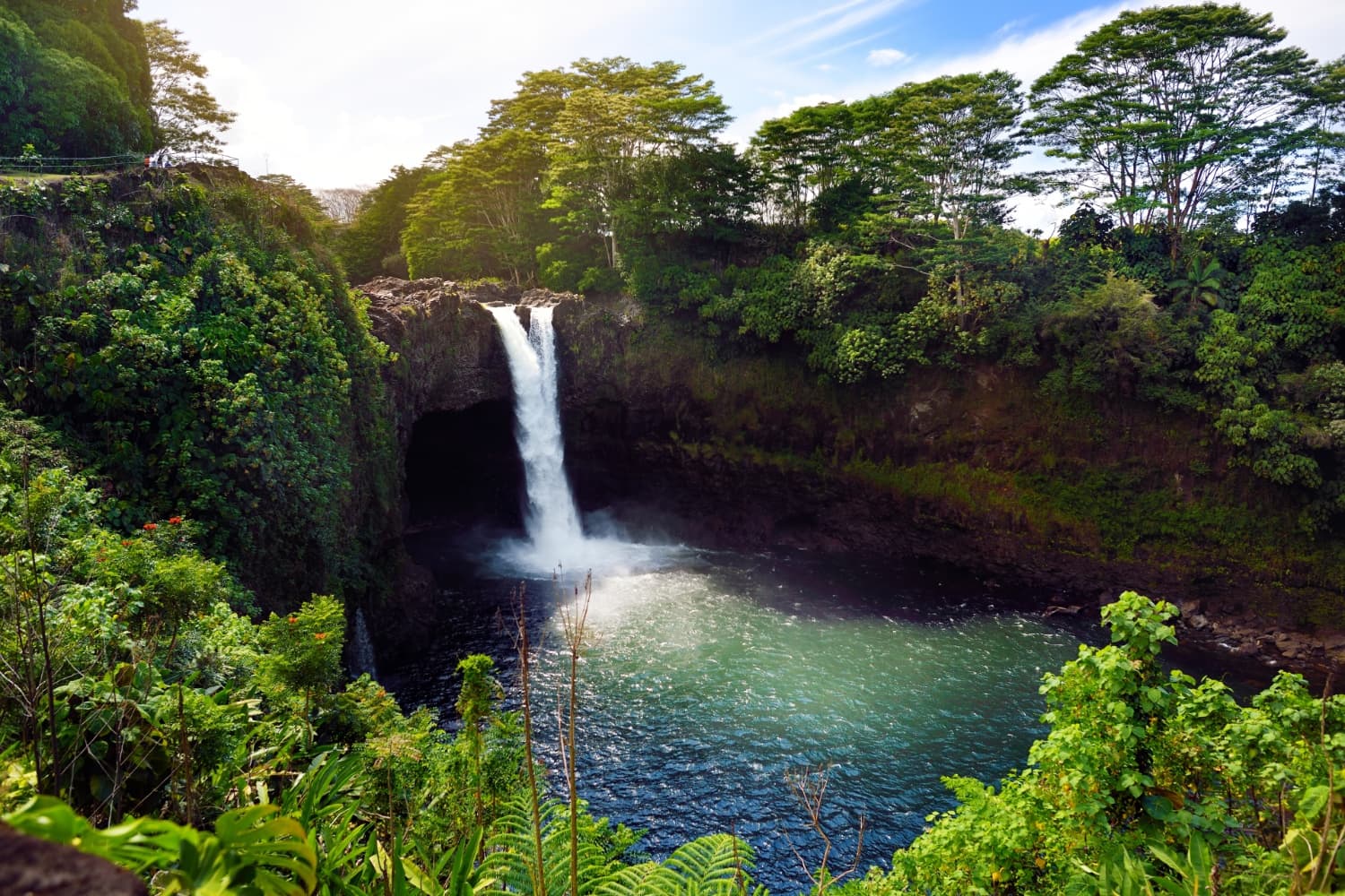 Big Island Day Tour w/ Lunch