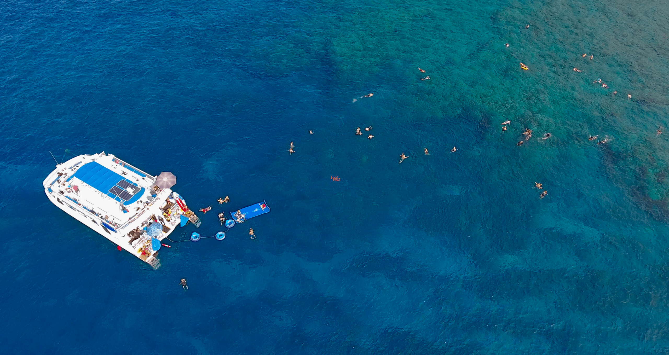 Afternoon Snorkel