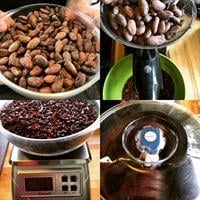 VIP Chocolate Tasting and Farm Tour