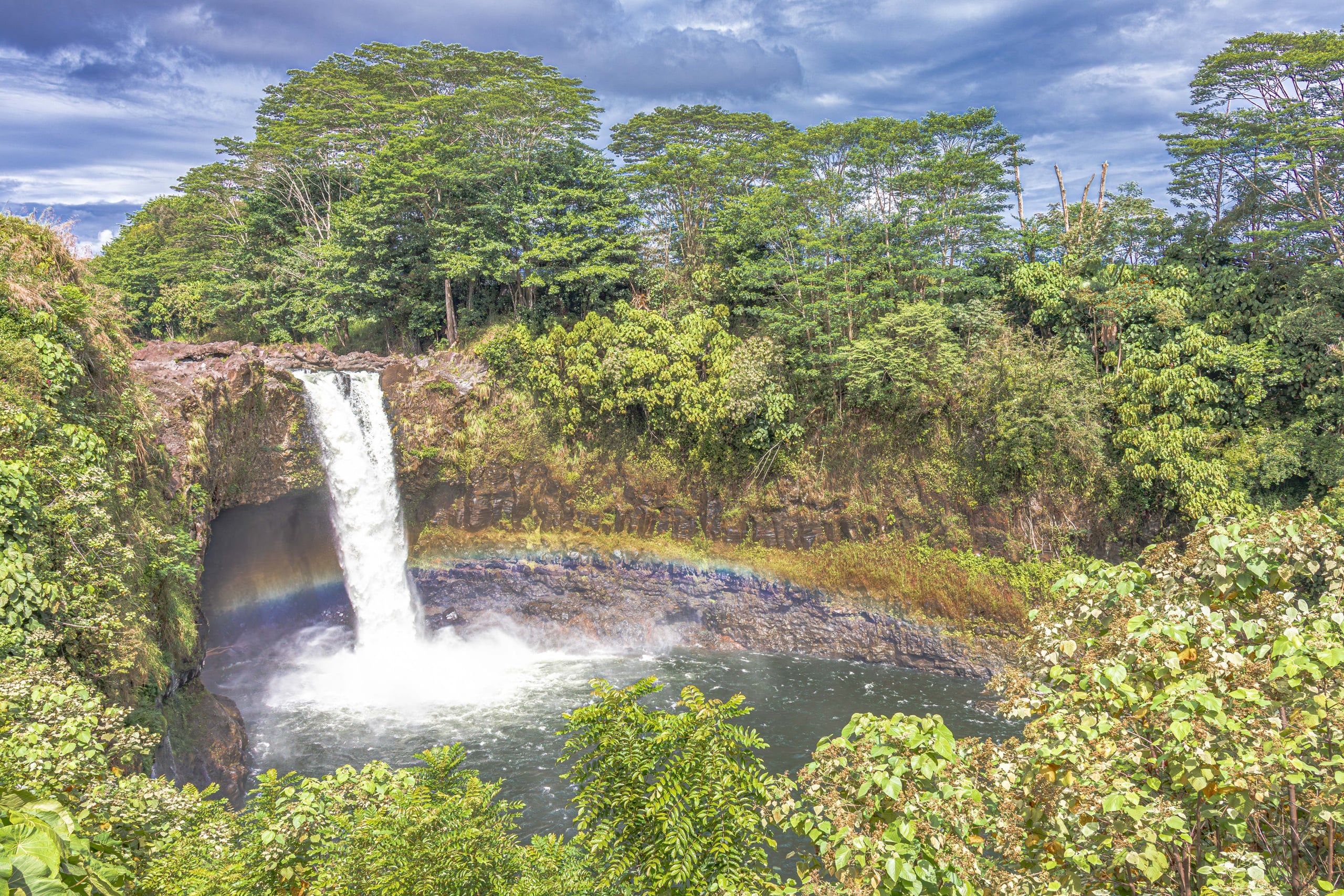 Hilo Cruise Ship Guest Special - Botanical Gardens, Waterfalls, and Farmers Market
