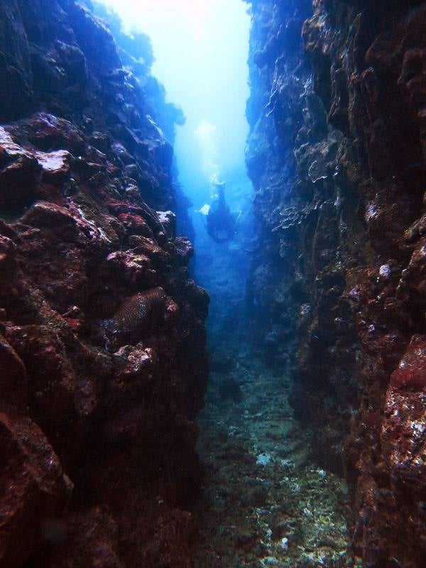 2 Tank Boat Dive - Hilo Horizons