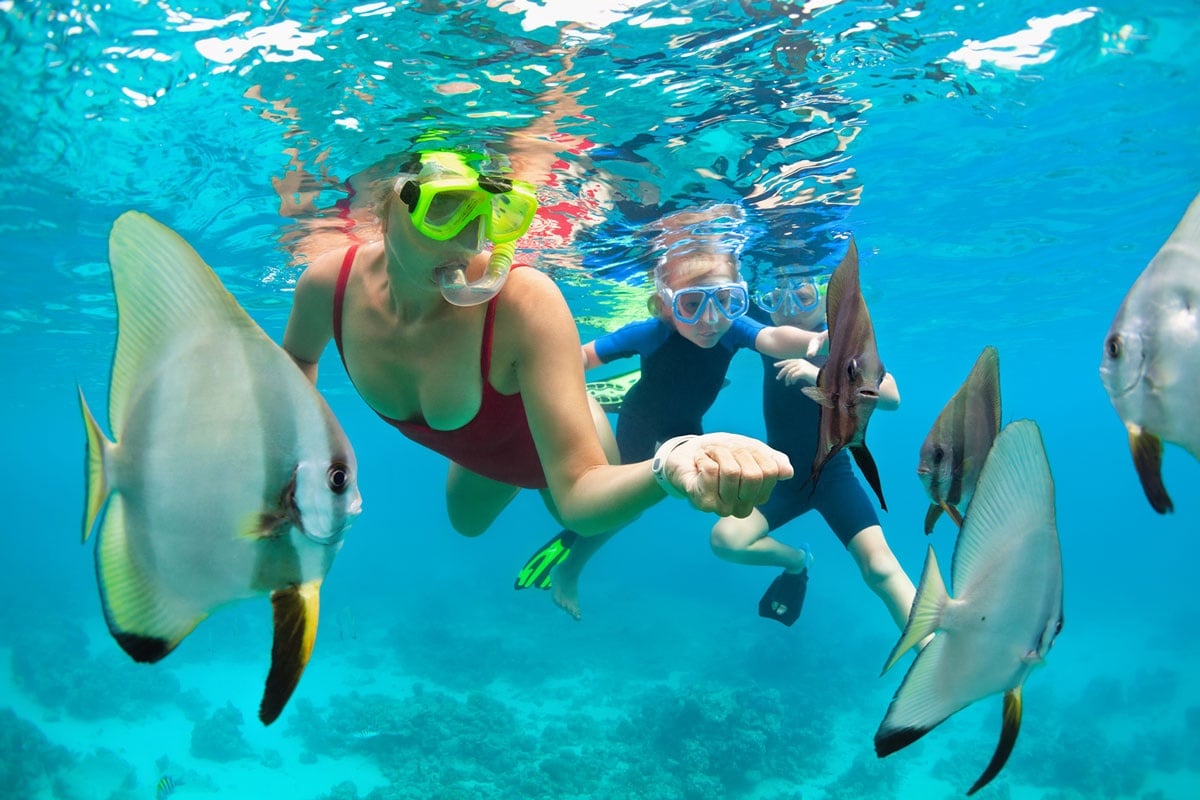 Mauna Kea Two-Stop Sealife Snorkel