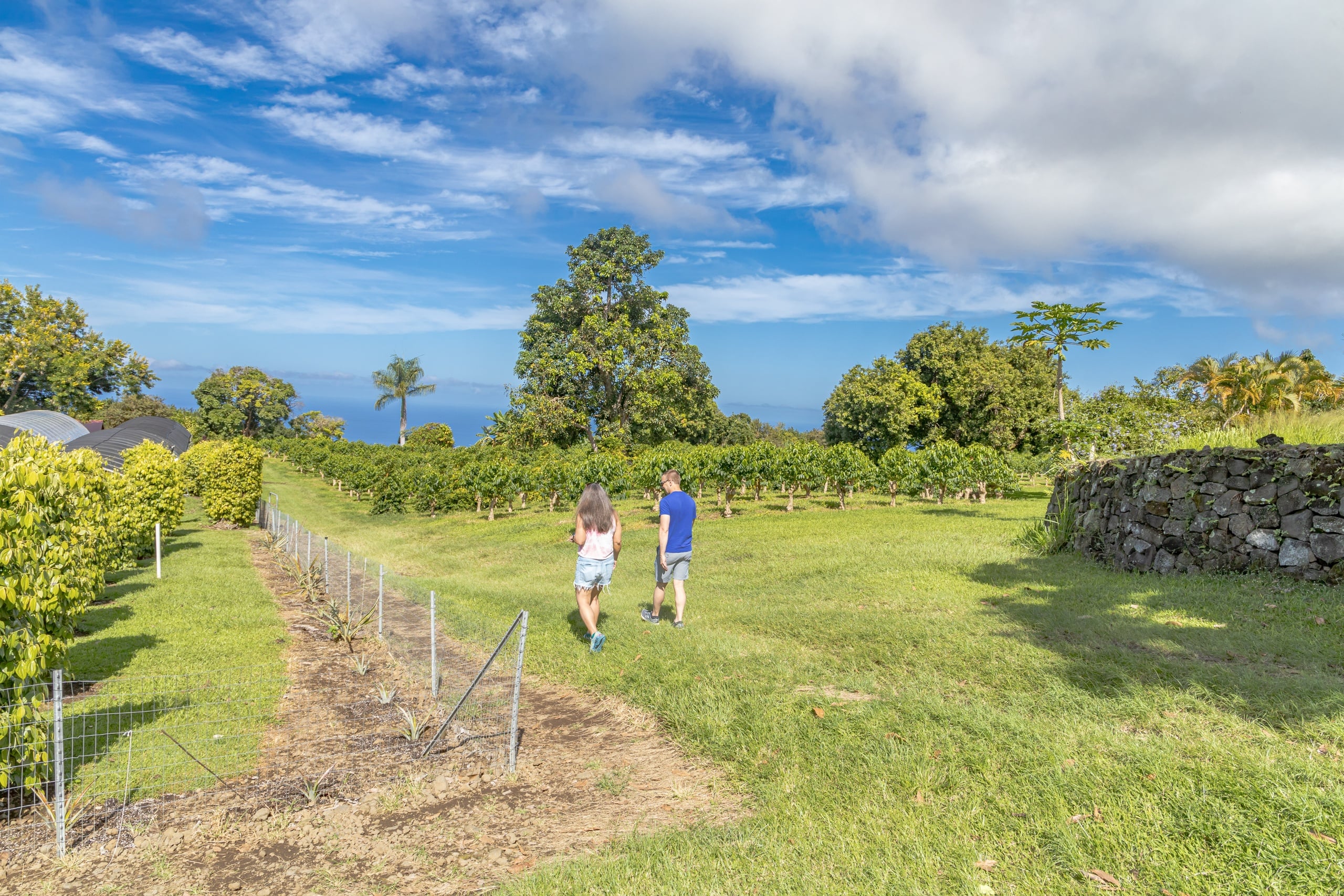 Kona Cruise Ship Guest Special - Kona Historical Tour