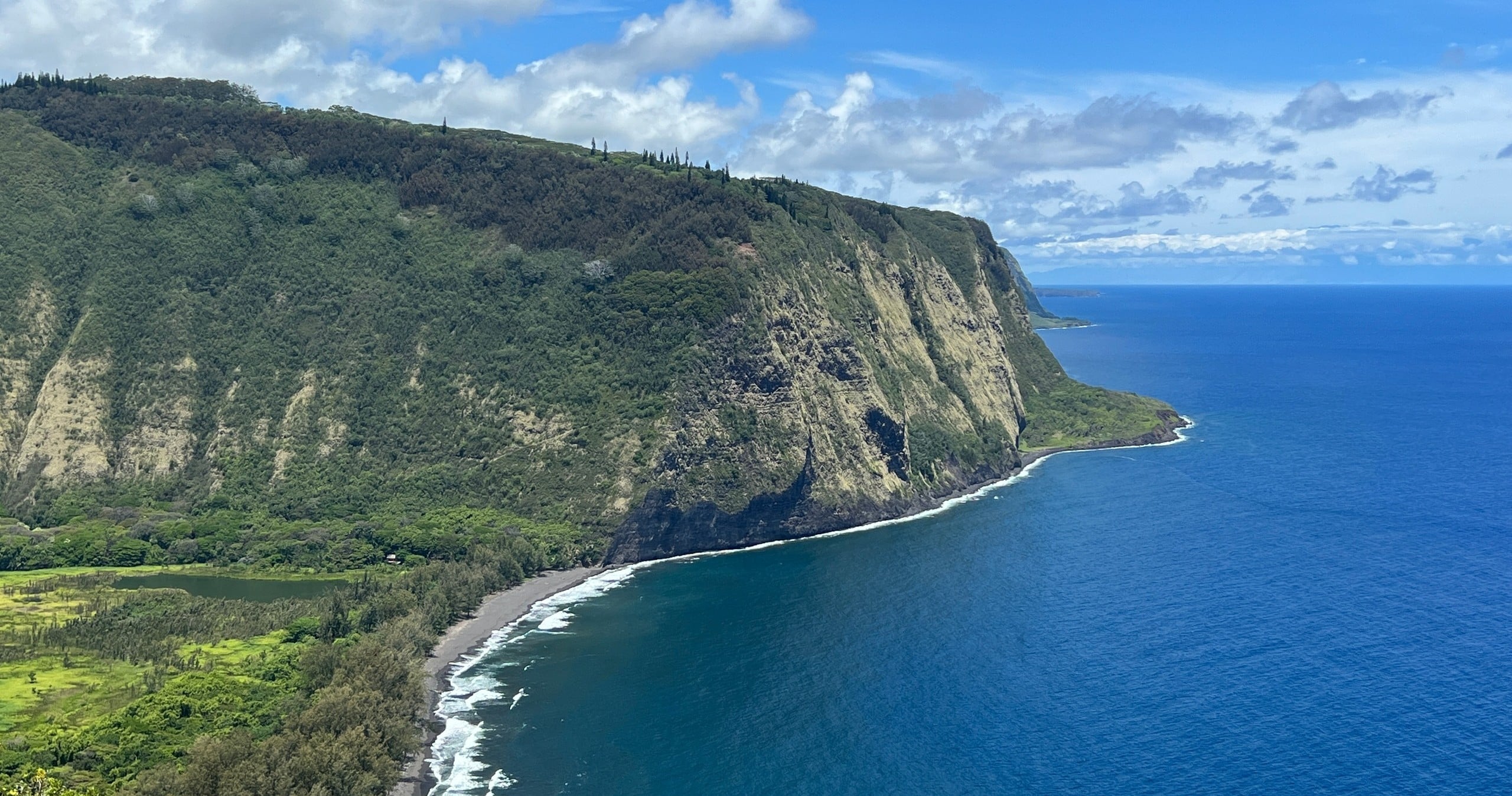 PRIVATE Heavenly Hamakua from Kona