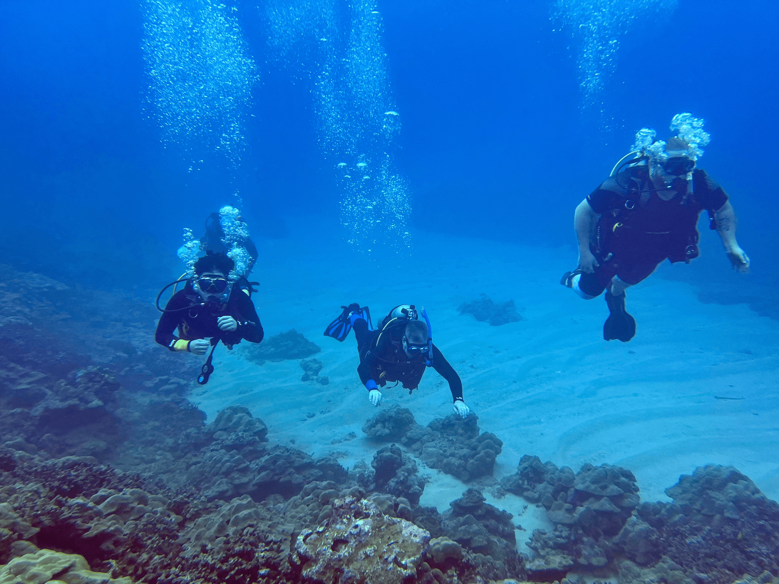 1 Tank Shore Dive – Wai'olena Beach