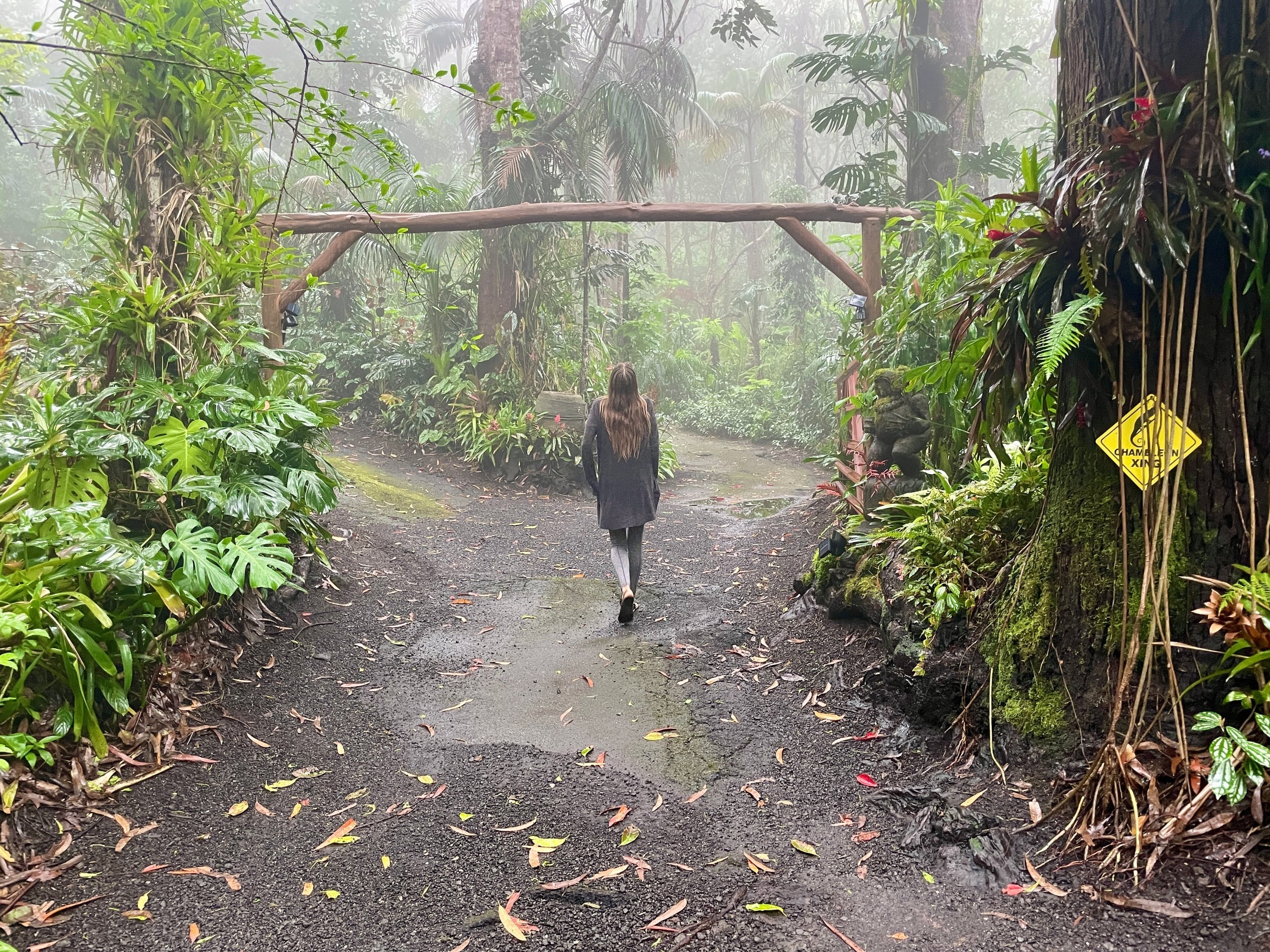 Cloud Forest Tour - Montane Jungle Trail (2.5 hrs)