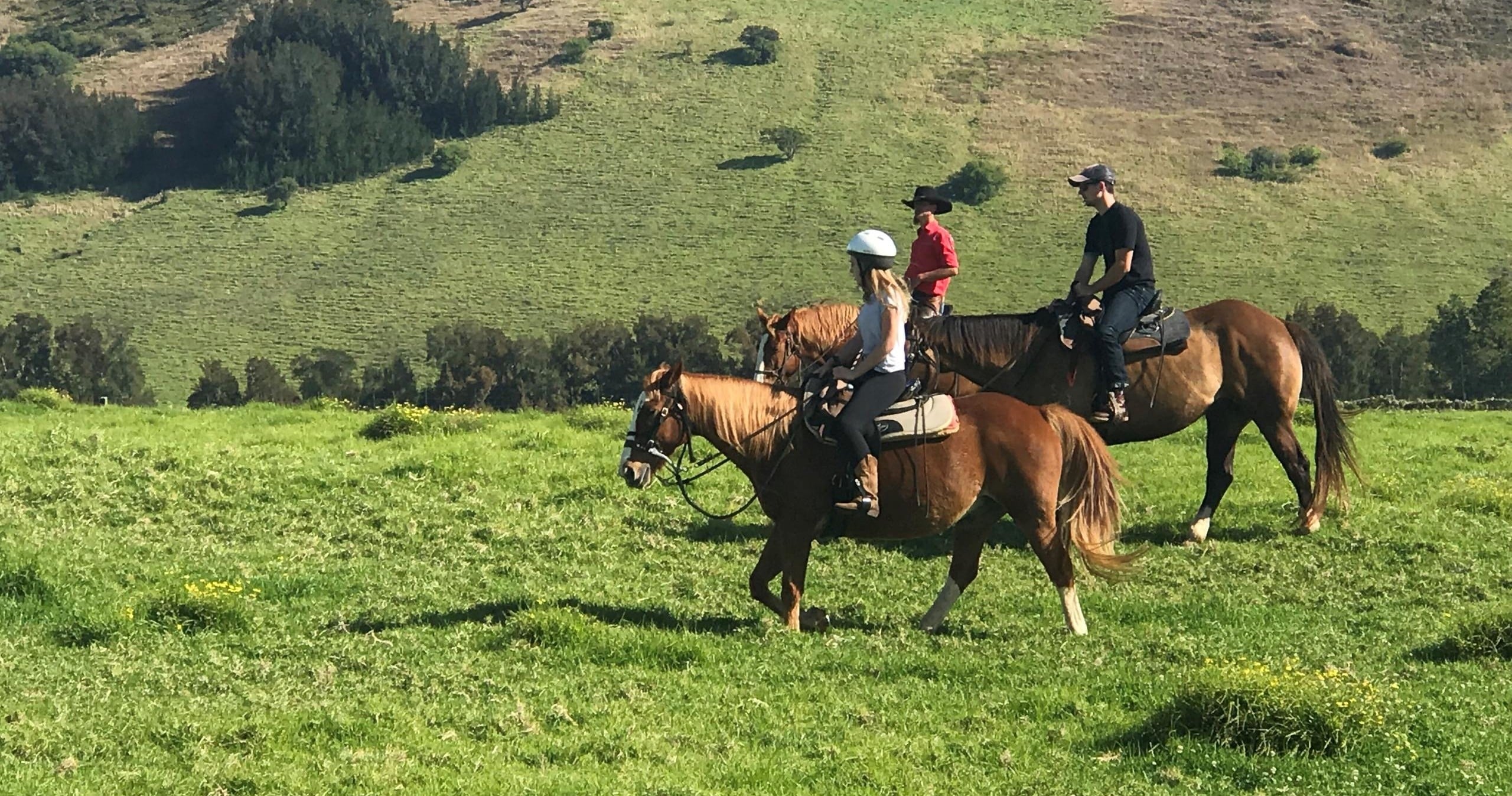 ✴️PRIVATE Morning Paniolo Ride