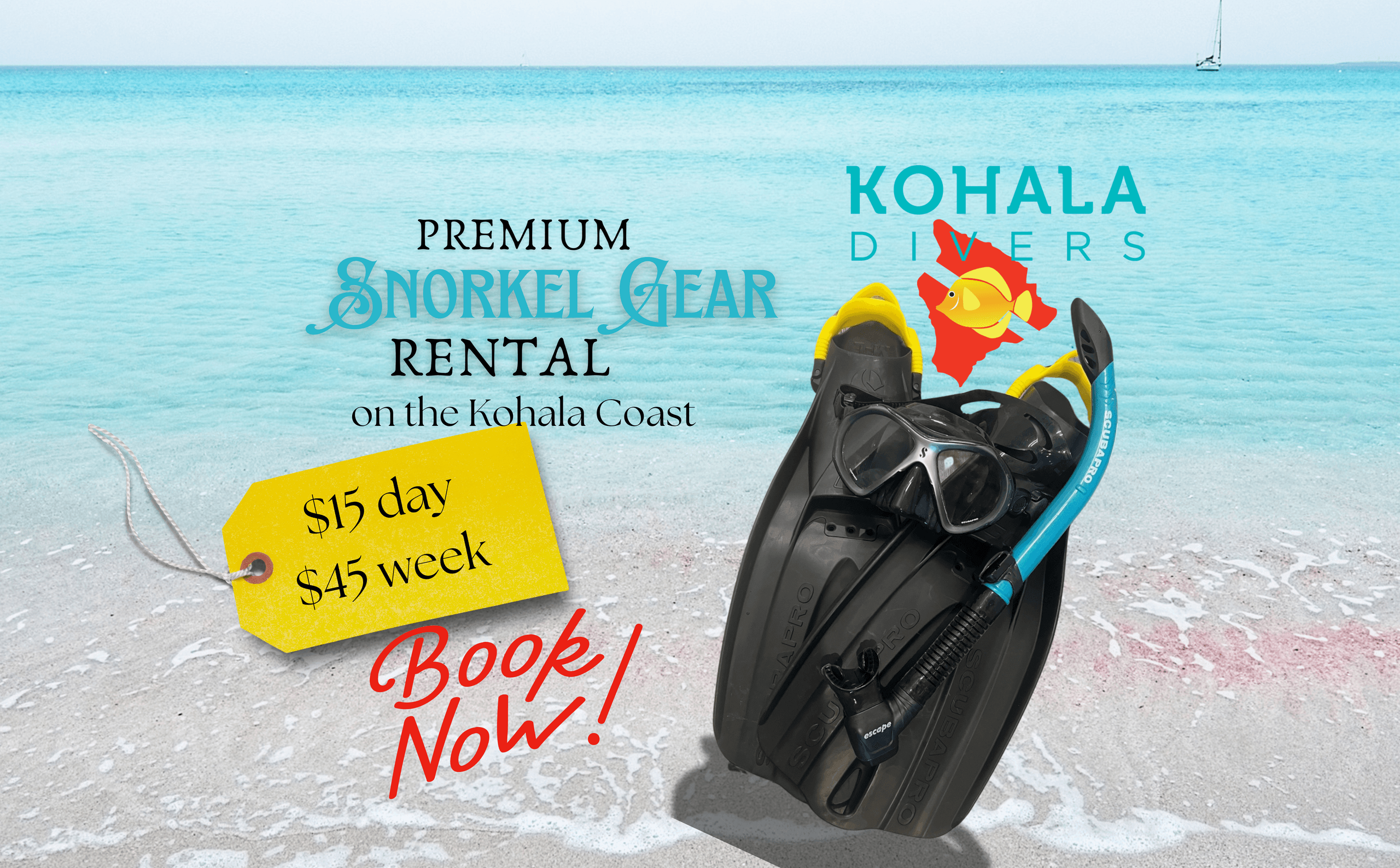 Four Day Rental Custom Fit Snorkel Gear