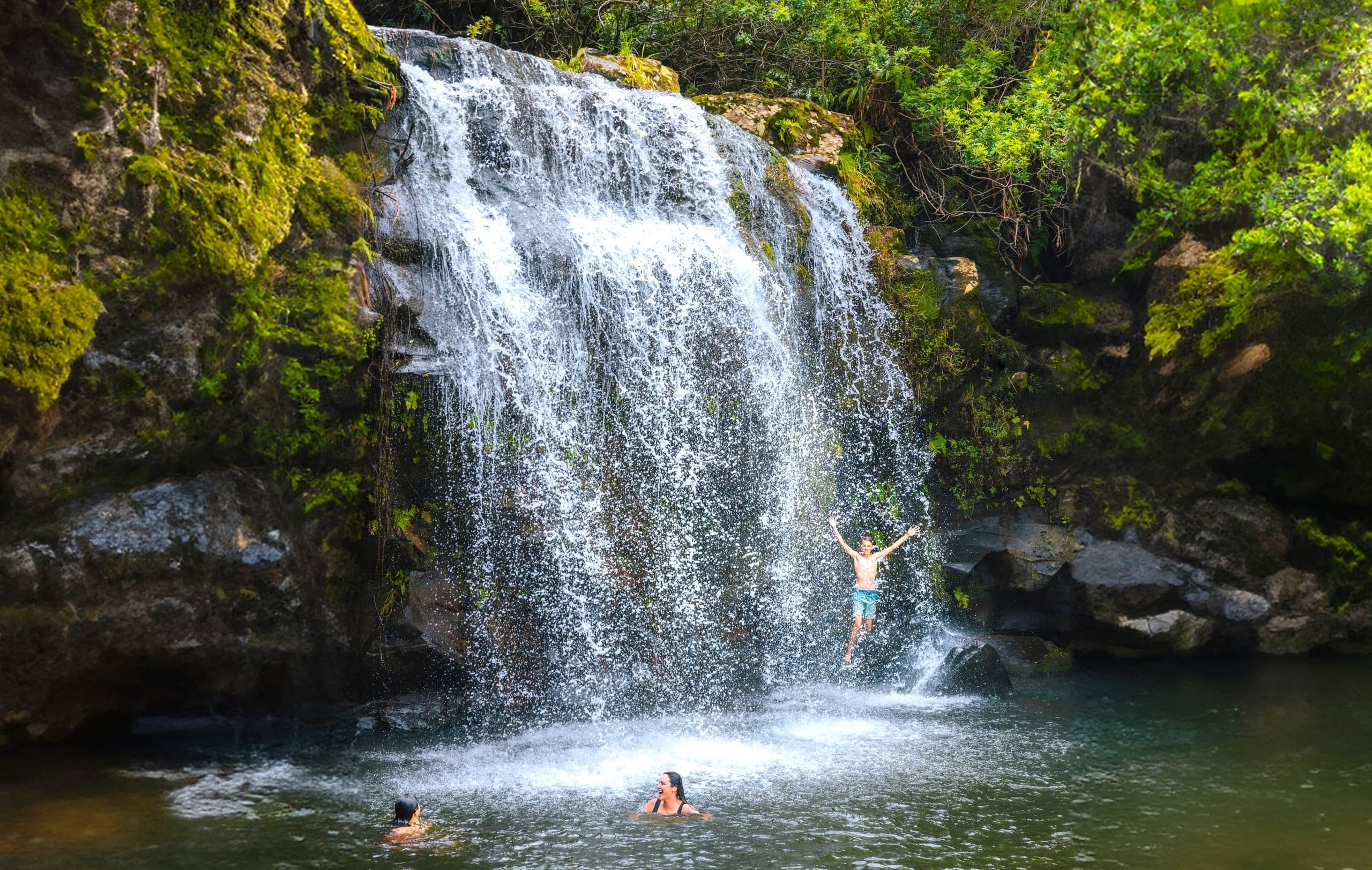 Kohala Waterfalls Adventure