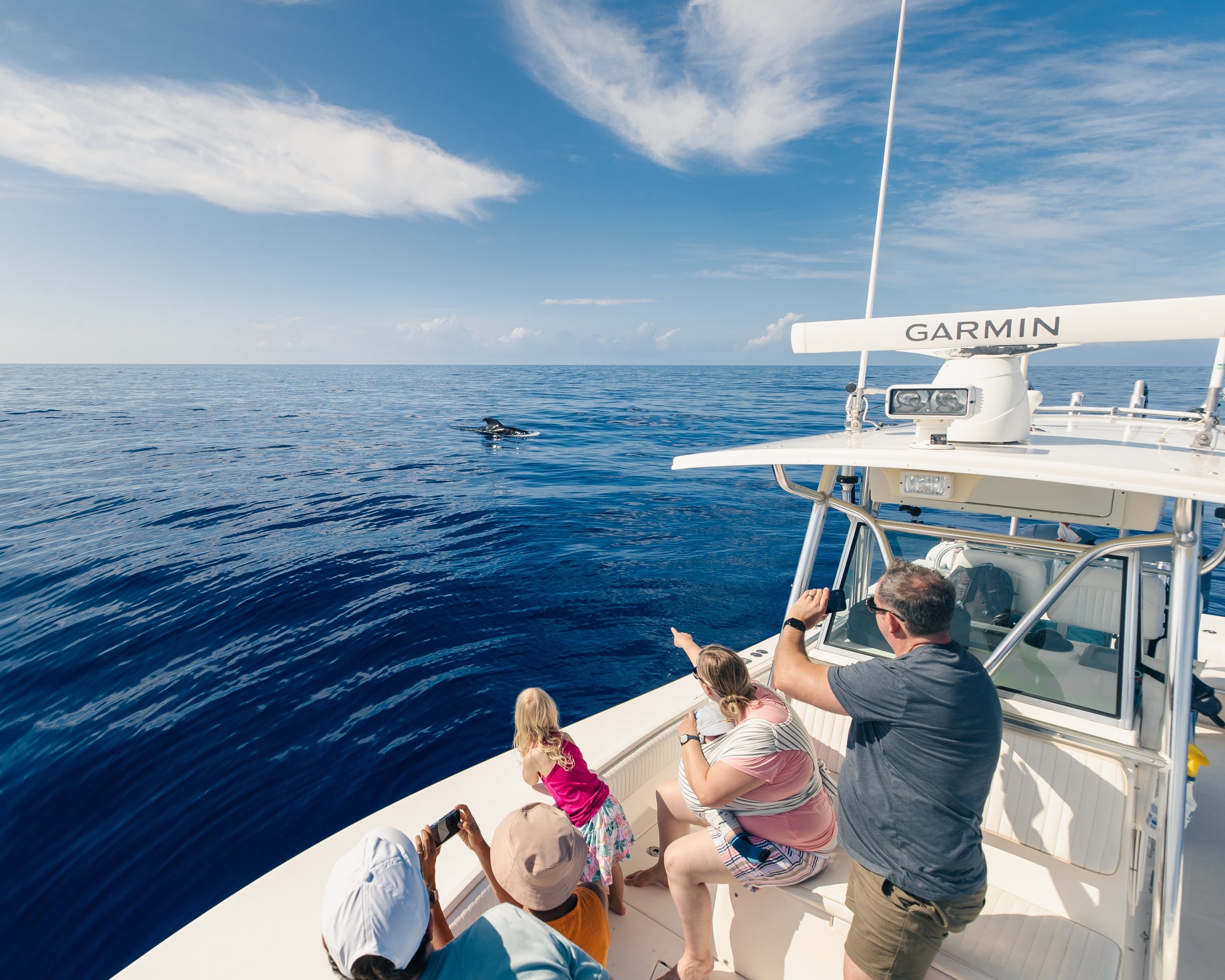 Private Whale Watch