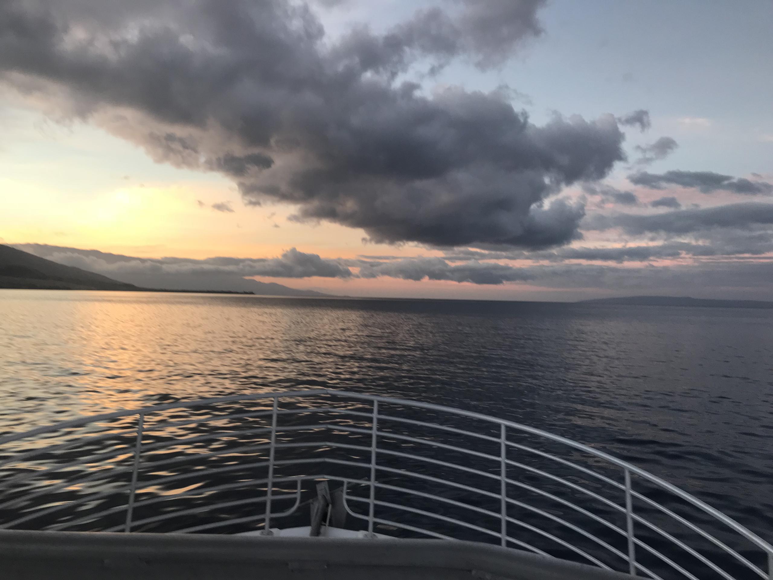 Whale Watch and Sunset Cruise