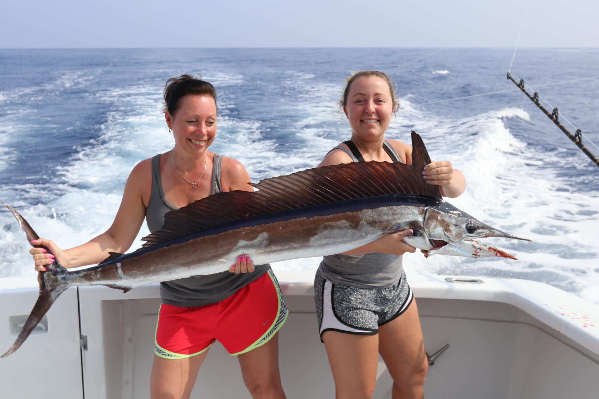 Six Hour Charter