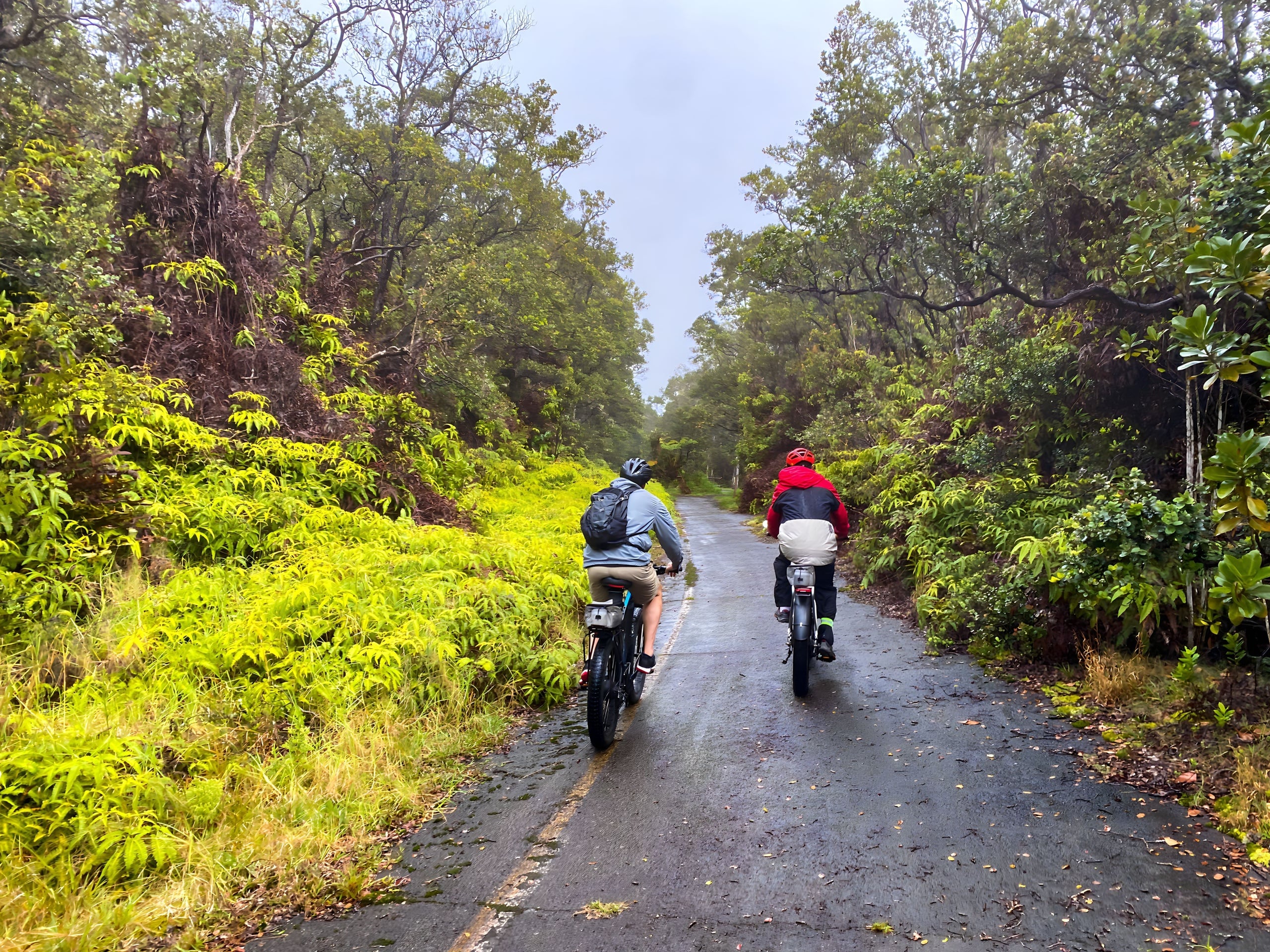 5 Hour Fat Tire E-Bike Tour for Cruise Passengers - Volcanoes National Park