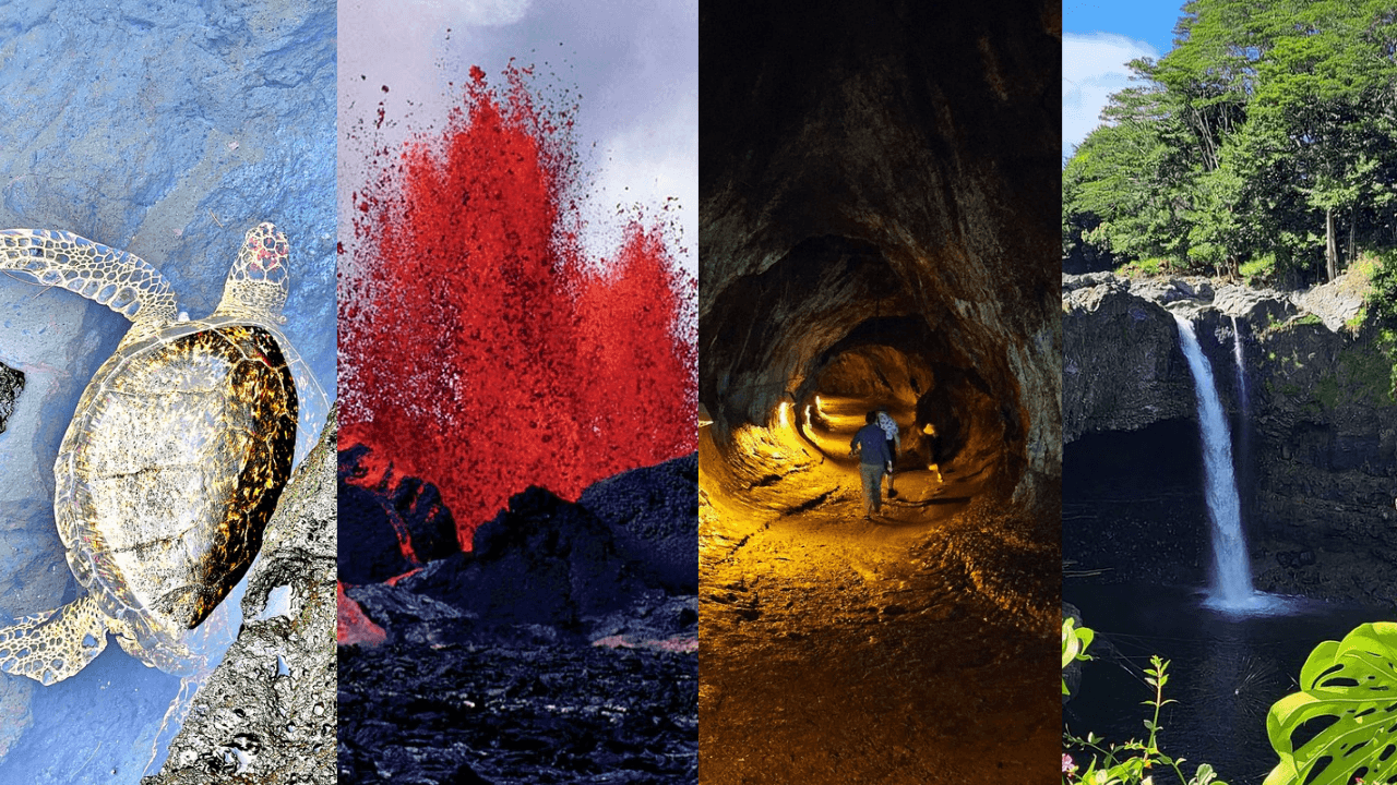 Hawaii Volcanoes, Waterfalls, Beaches & Hilo Highlights Day Tour - Private Tour