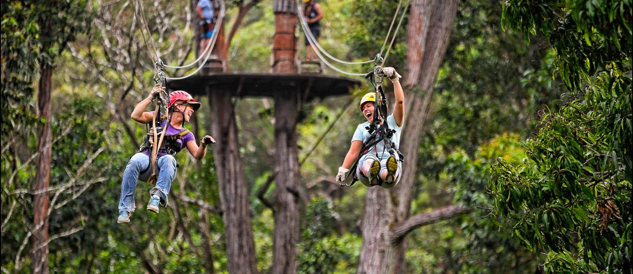 Kohala Canopy Adventure