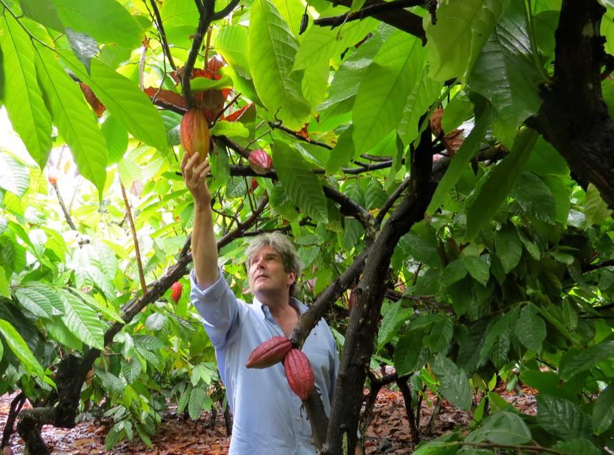 Chocolate Factory Farm Tour