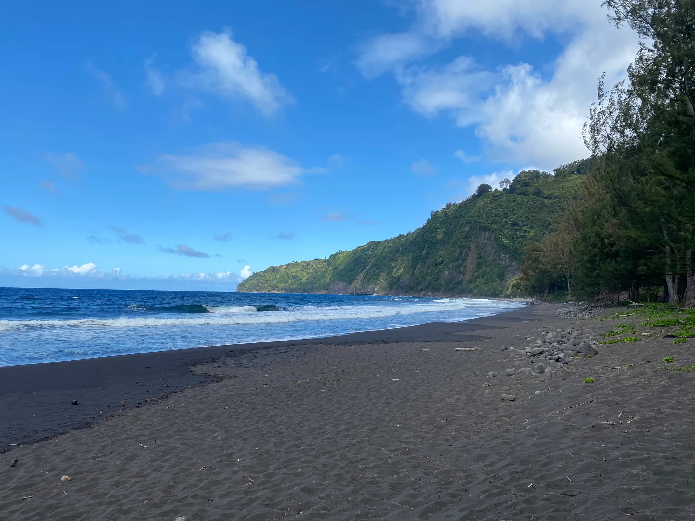 15 Best Big Island Tours and Activities (2026)