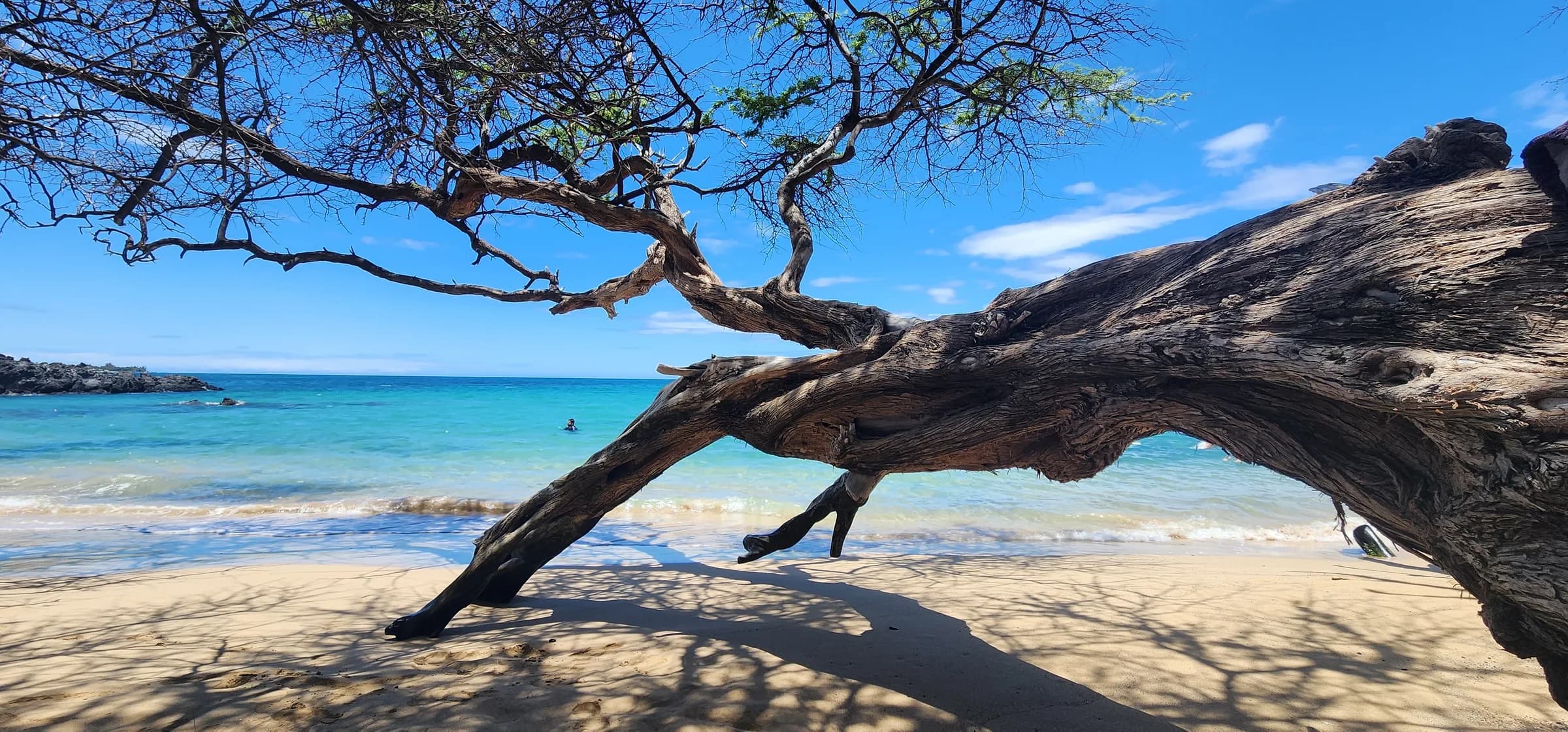 Kohala Coast & Waikoloa: Resort Area Activity Guide