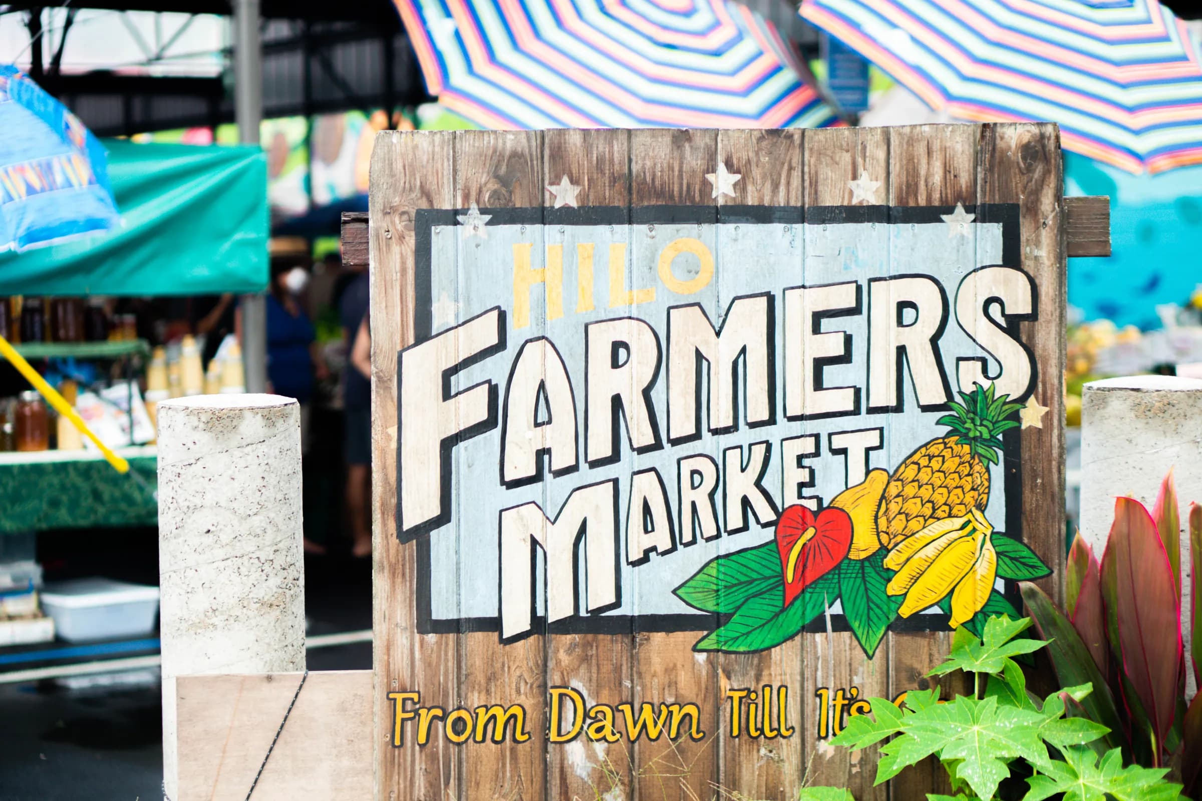 Things to Do in Hilo, Hawaii: The Complete Guide (2026)