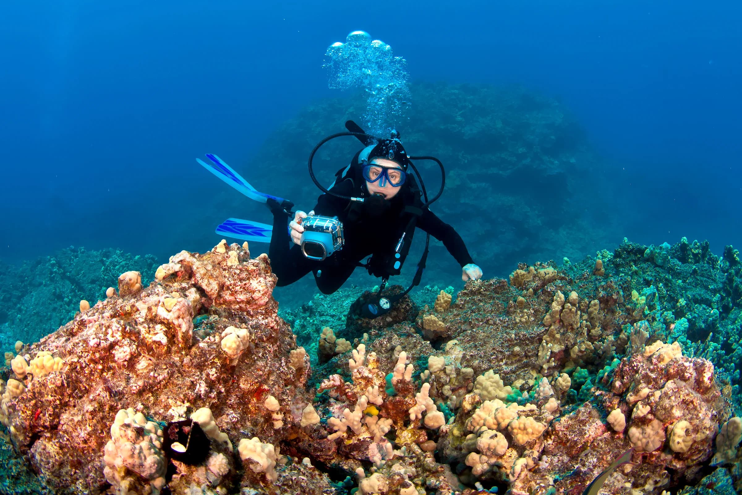 Kona Scuba Diving: Prices, Times and Who Each Tour Suits