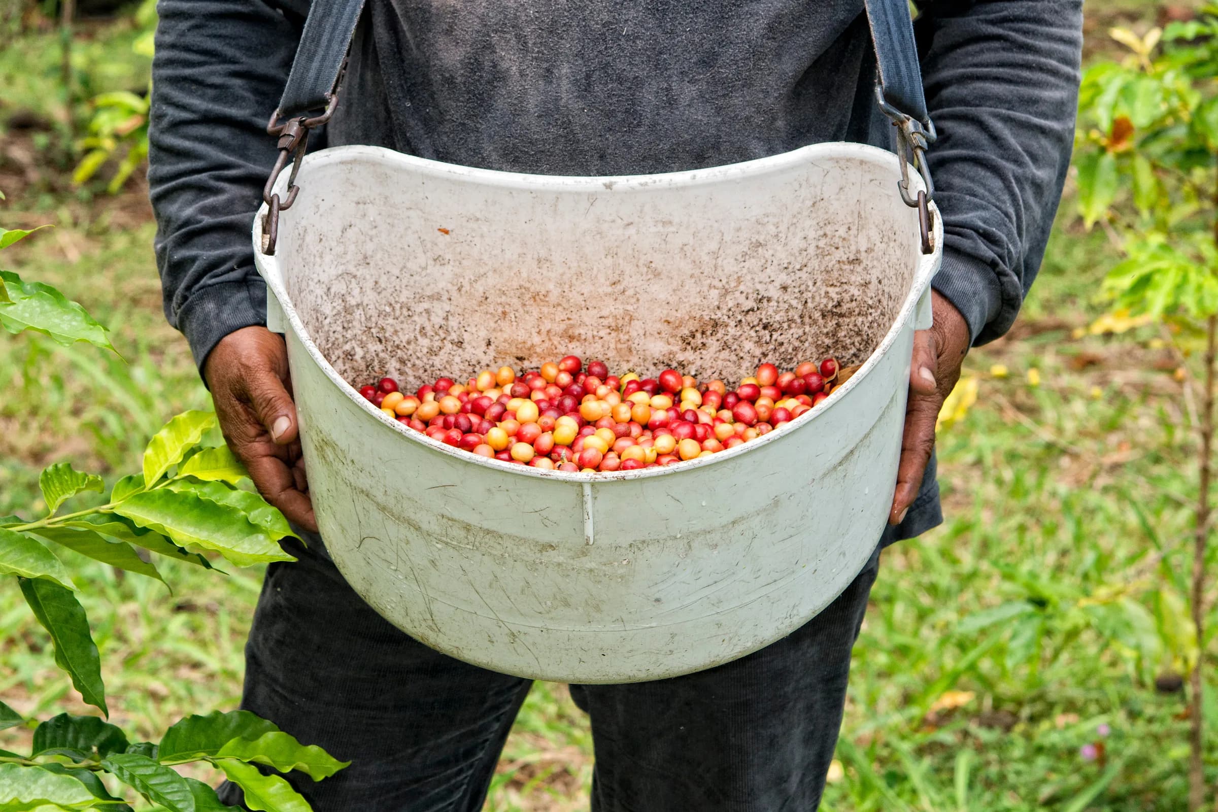 Food & Farm Tours