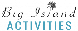 Big Island Activities Logo
